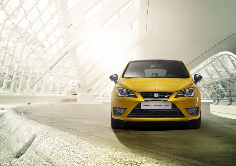  Seat Ibiza Cupra Concept 2012 года  (фото 20 из 26)